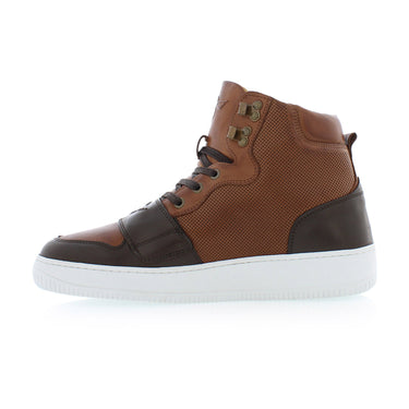 Cesario Limited Edition