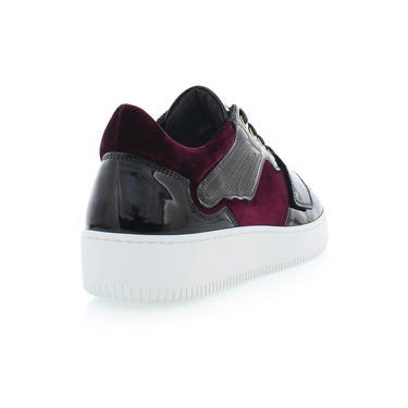 Cesario Limited Edition